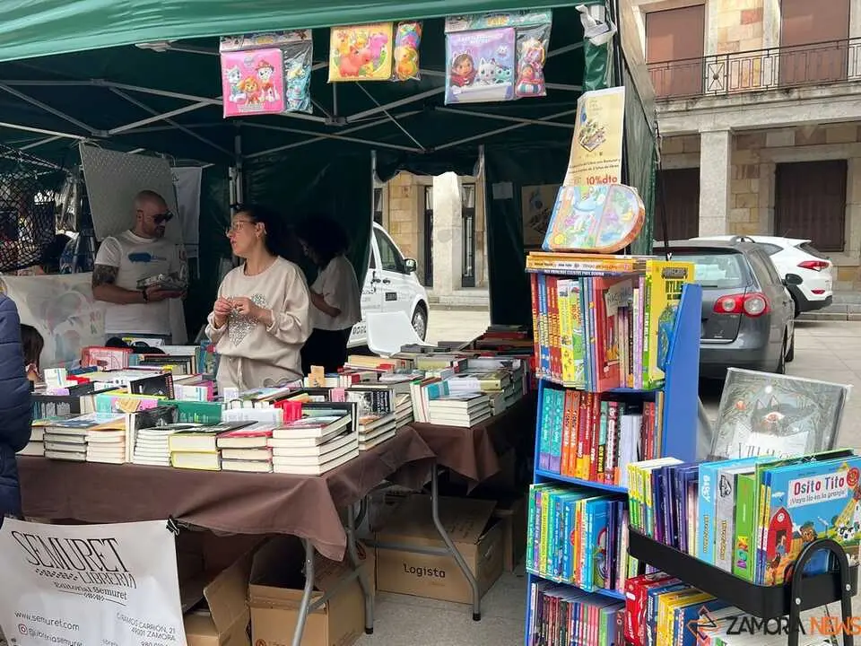 D&iacute;a del Libro Zamora _19