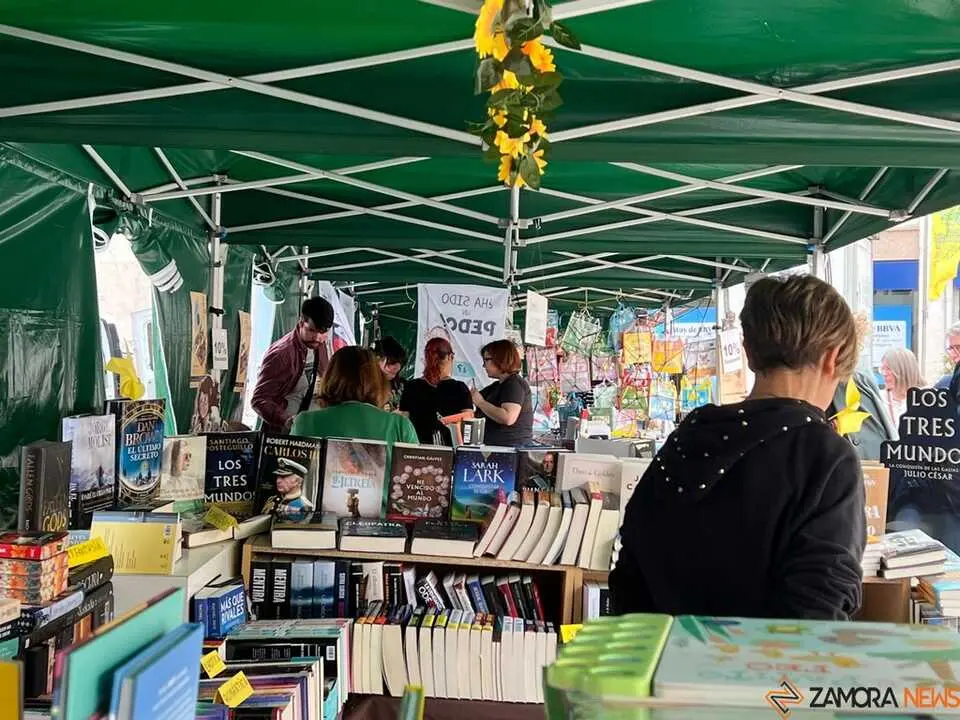 D&iacute;a del Libro Zamora _24