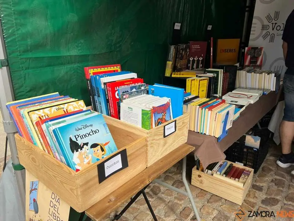 D&iacute;a del Libro Zamora _25