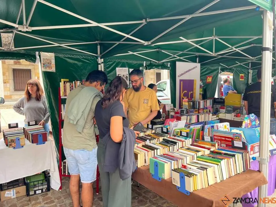 D&iacute;a del Libro Zamora _26