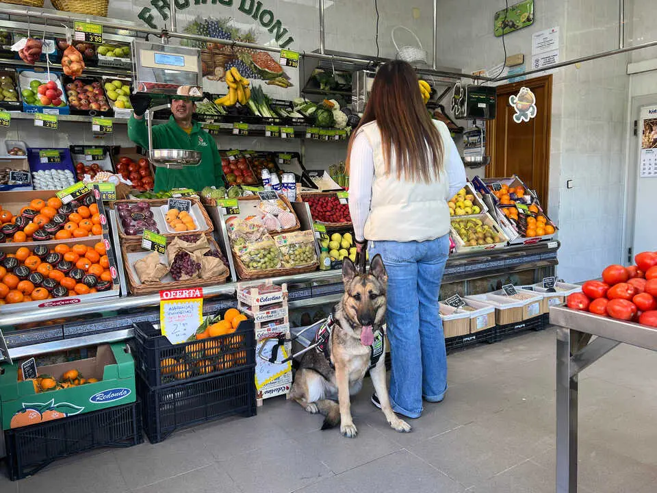 Usuaria perro gu&iacute;a en fruter&iacute;a