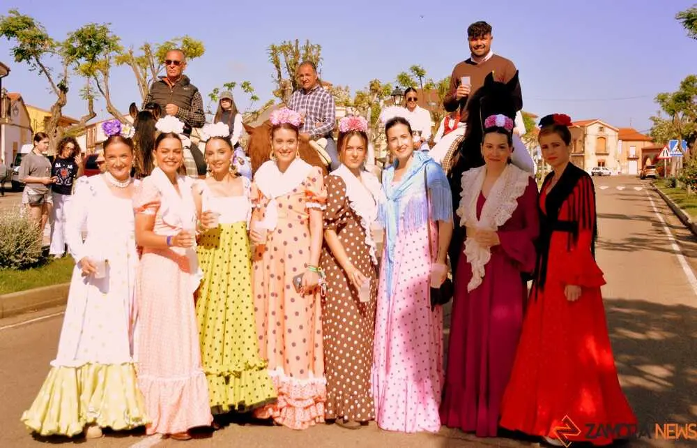 camino flamenco Moraleja _2