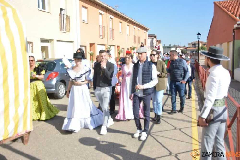 camino flamenco Moraleja _6