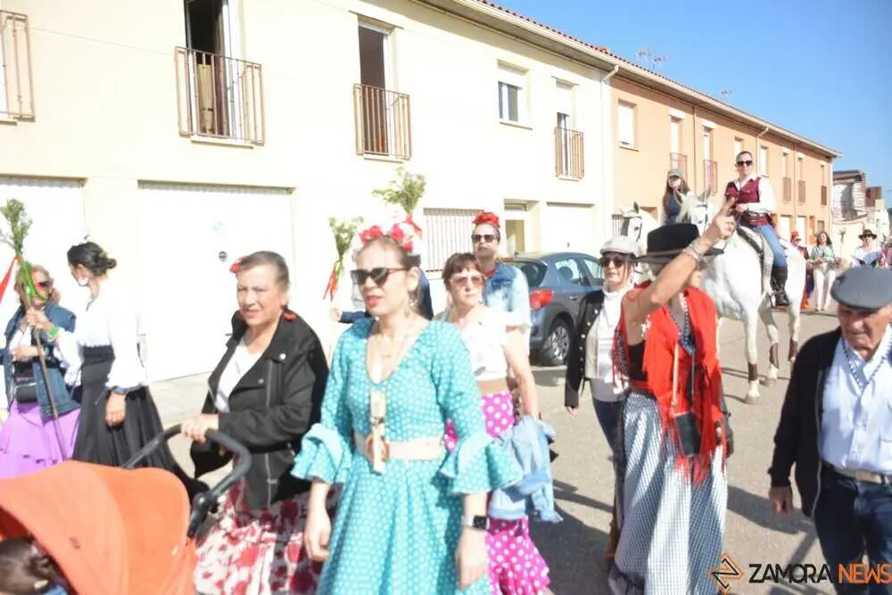 camino flamenco Moraleja _9