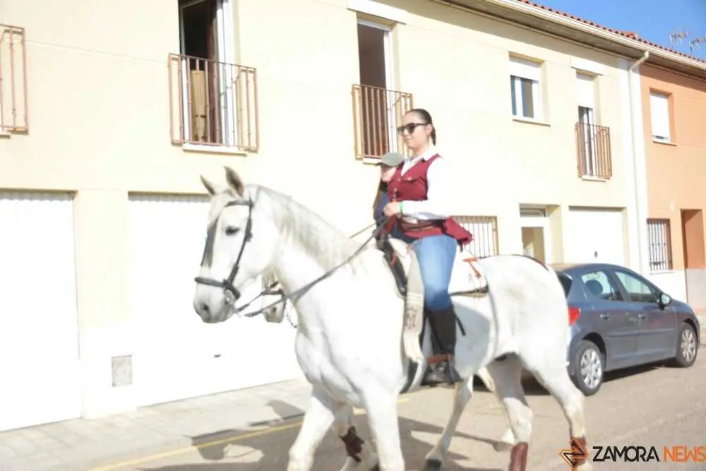 camino flamenco Moraleja _11