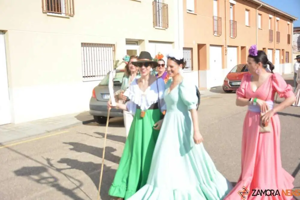 camino flamenco Moraleja _14