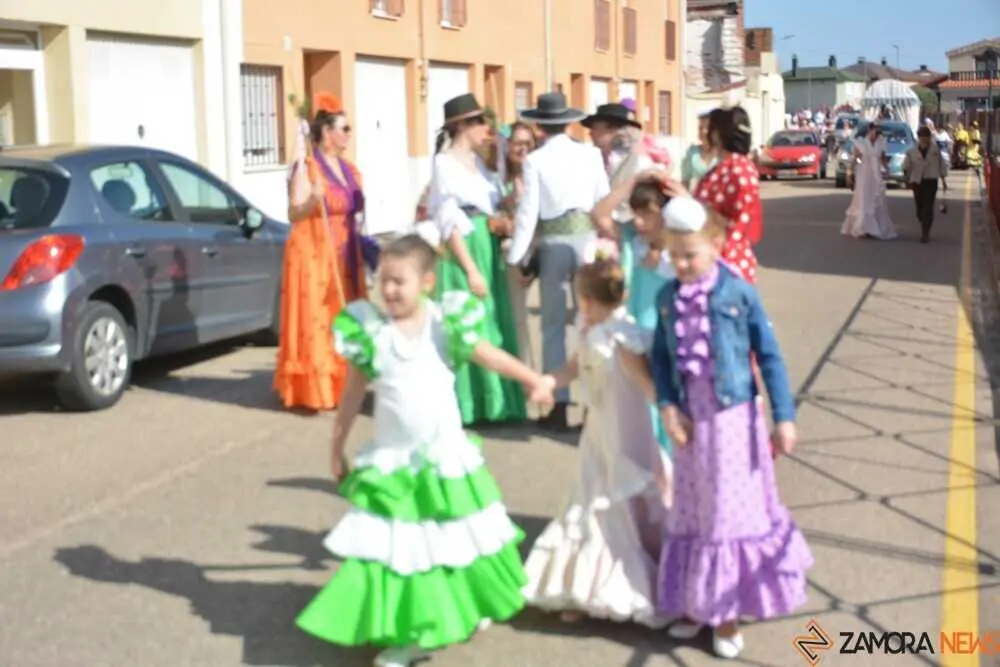 camino flamenco Moraleja _12