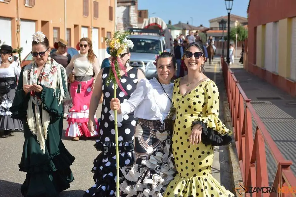 camino flamenco Moraleja _23