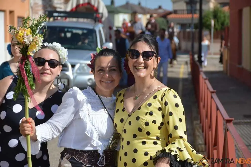 camino flamenco Moraleja _24