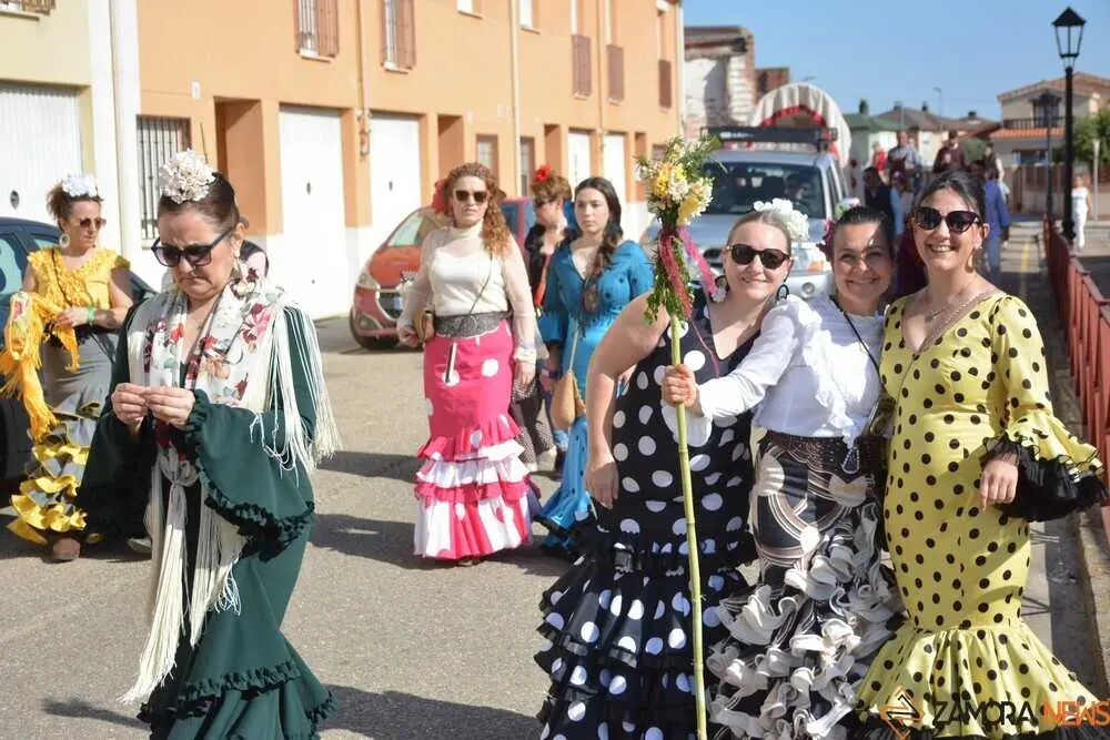 camino flamenco Moraleja _25