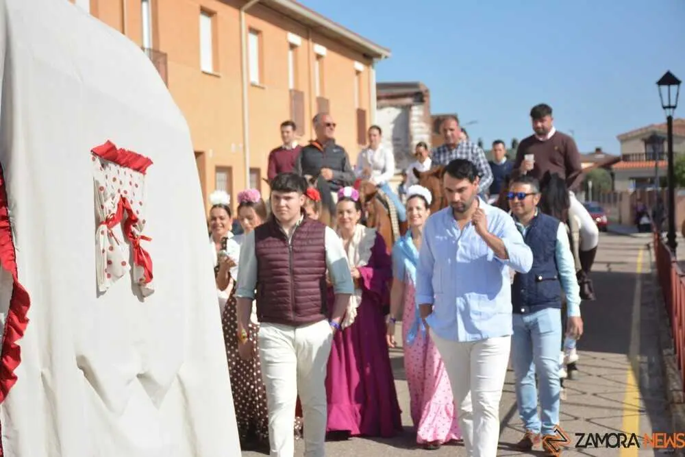 camino flamenco Moraleja _29