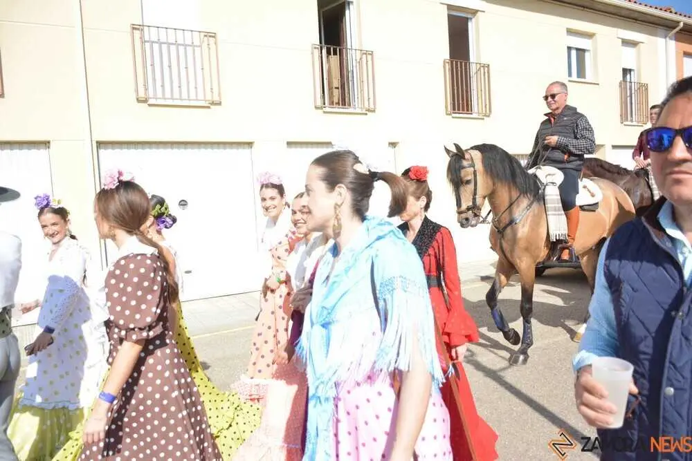 camino flamenco Moraleja _32