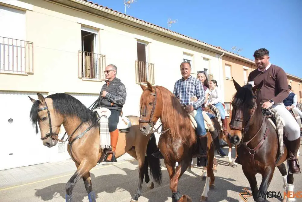 camino flamenco Moraleja _34