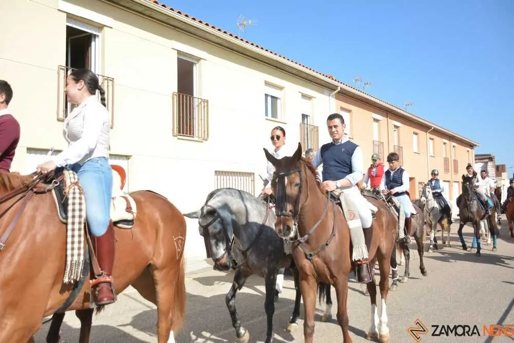 camino flamenco Moraleja _35