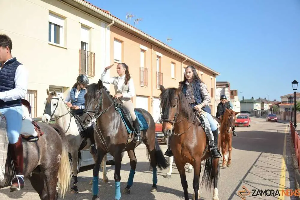 camino flamenco Moraleja _38