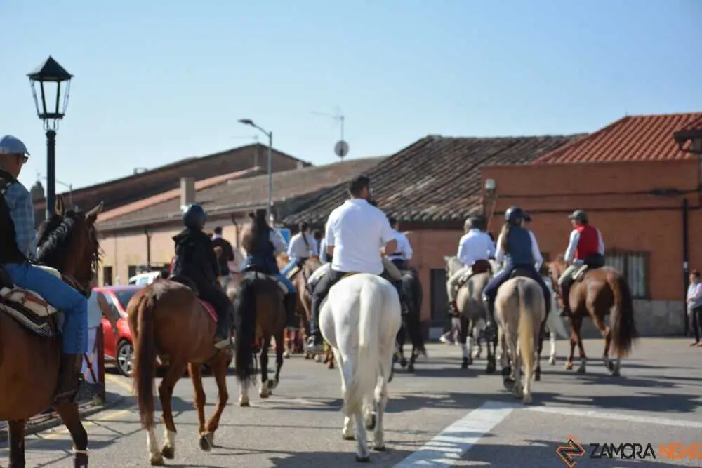 camino flamenco Moraleja _43