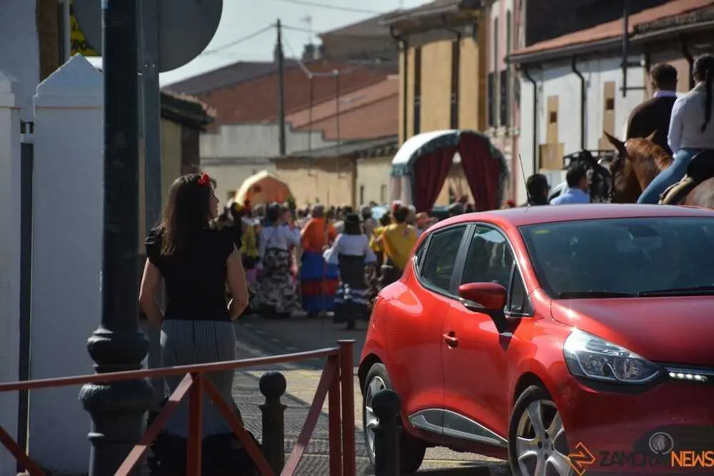 camino flamenco Moraleja _44