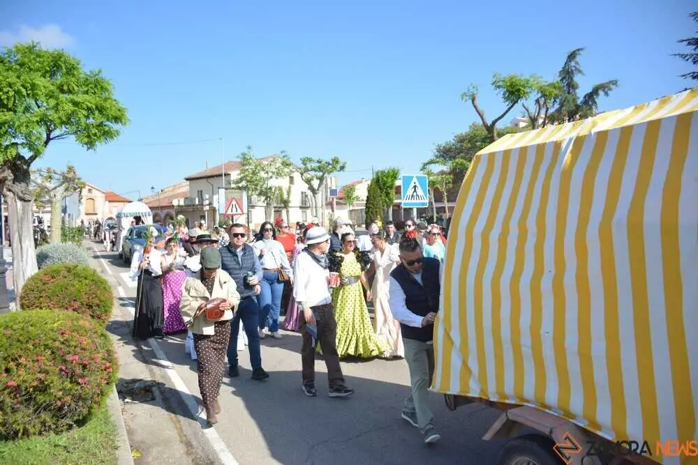 camino flamenco Moraleja _46