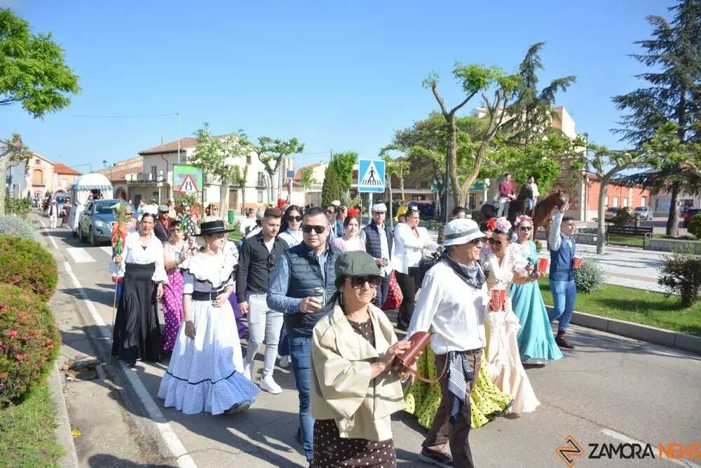 camino flamenco Moraleja _48