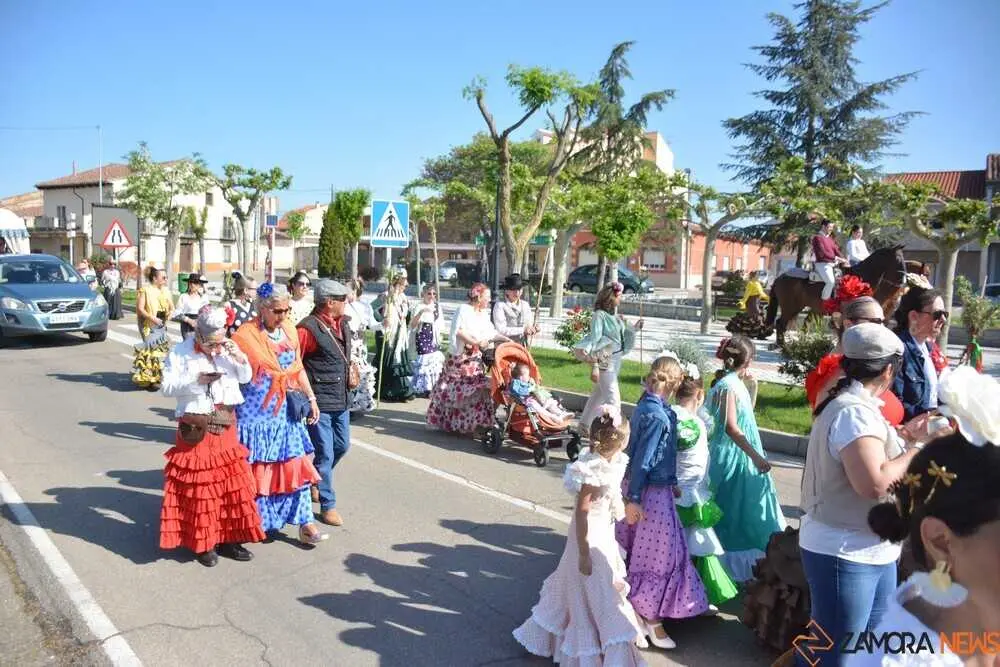 camino flamenco Moraleja _49