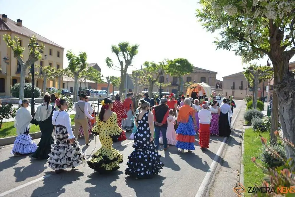 camino flamenco Moraleja _51