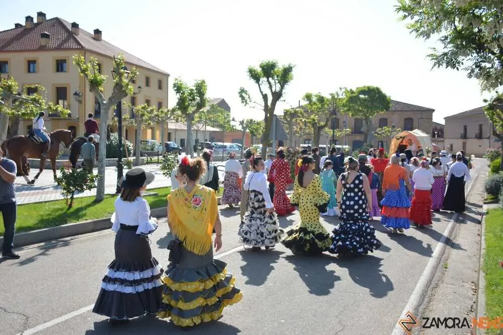 camino flamenco Moraleja _54