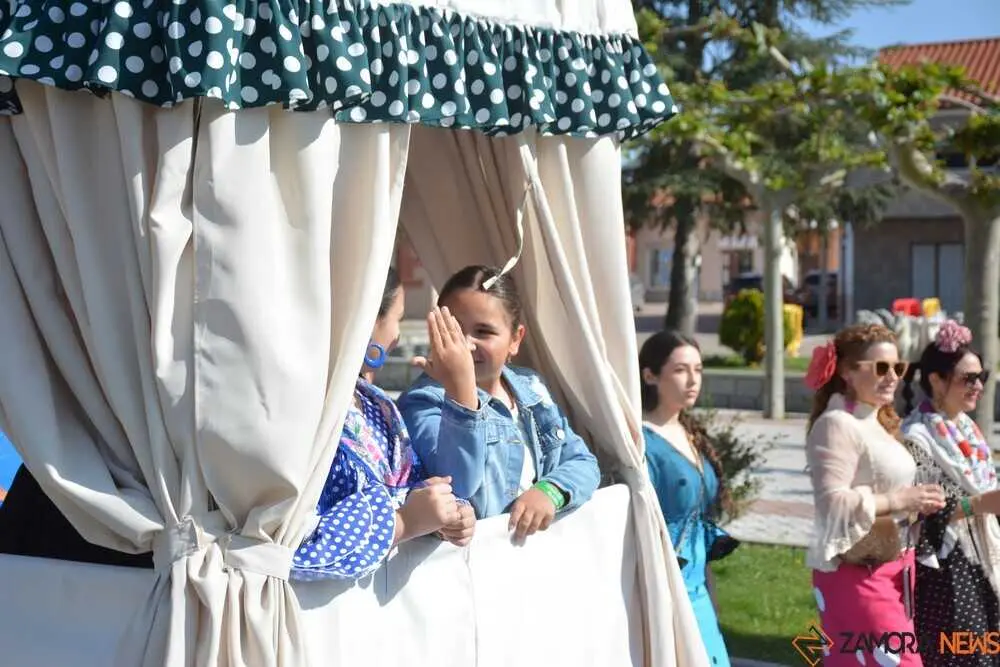 camino flamenco Moraleja _55