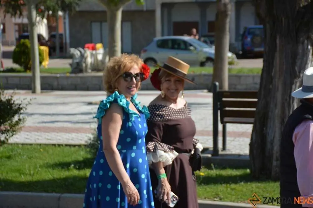 camino flamenco Moraleja _58