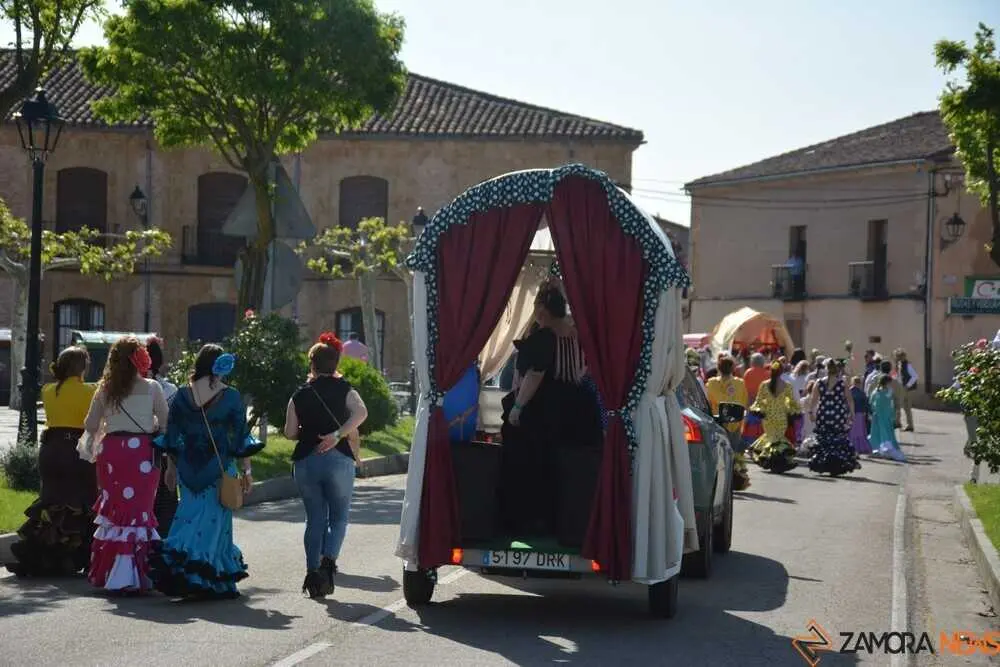 camino flamenco Moraleja _62