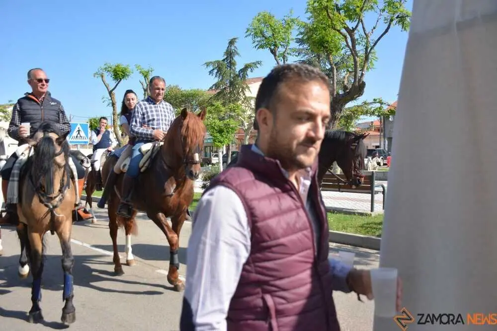 camino flamenco Moraleja _64