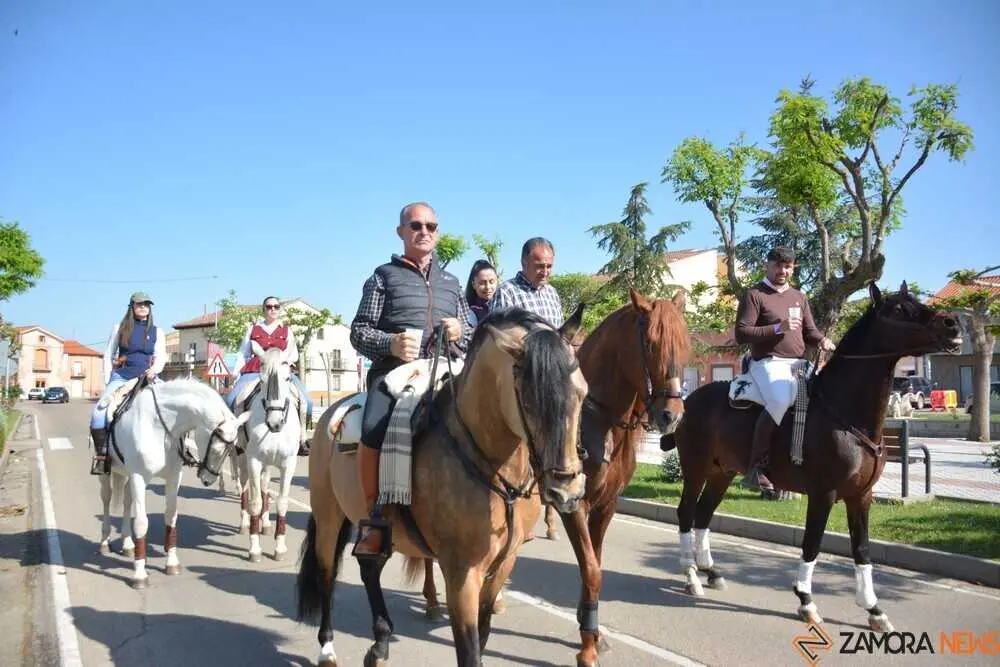 camino flamenco Moraleja _66