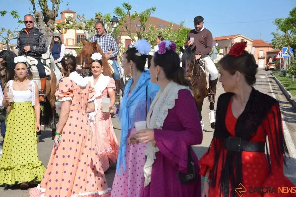 camino flamenco Moraleja _69