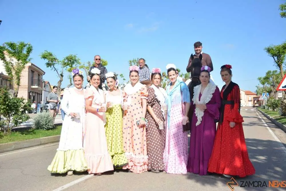 camino flamenco Moraleja _73