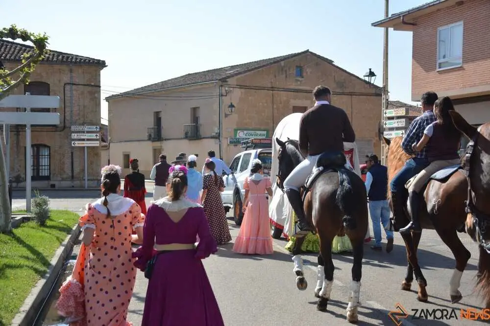 camino flamenco Moraleja _74