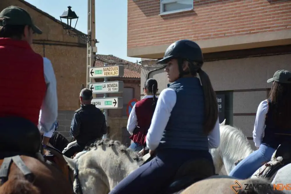 camino flamenco Moraleja _76