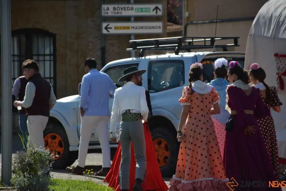 camino flamenco Moraleja _79