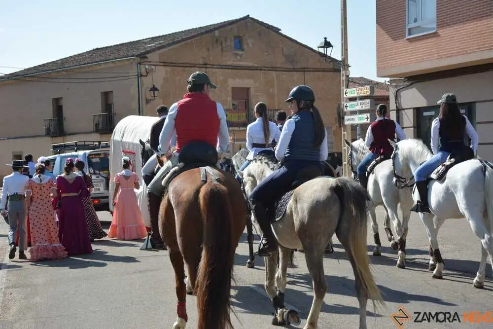 camino flamenco Moraleja _77