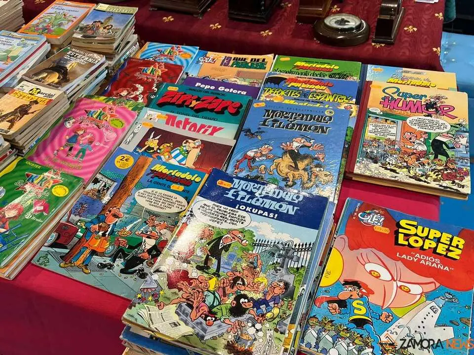 Feria de Antig&uuml;edades y Vintage Zamora _3