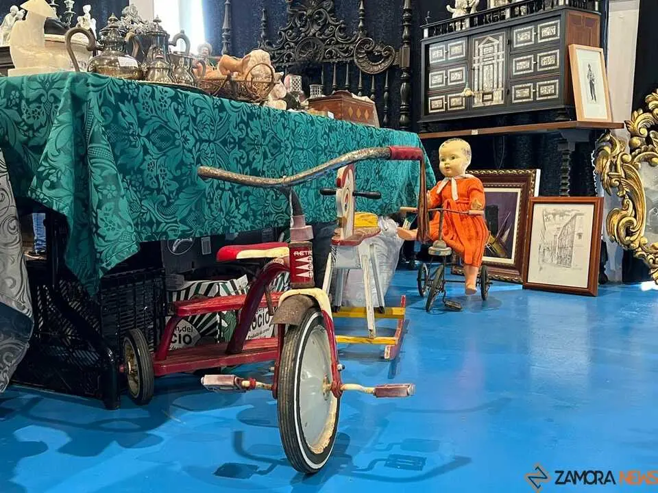 Feria de Antig&uuml;edades y Vintage Zamora _8