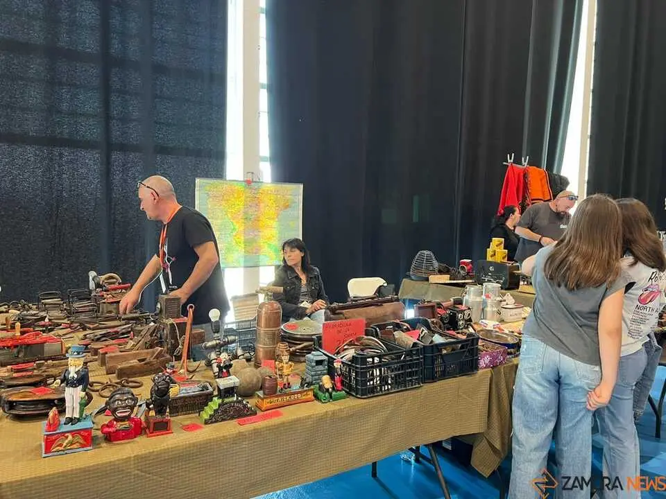 Feria de Antig&uuml;edades y Vintage Zamora _11