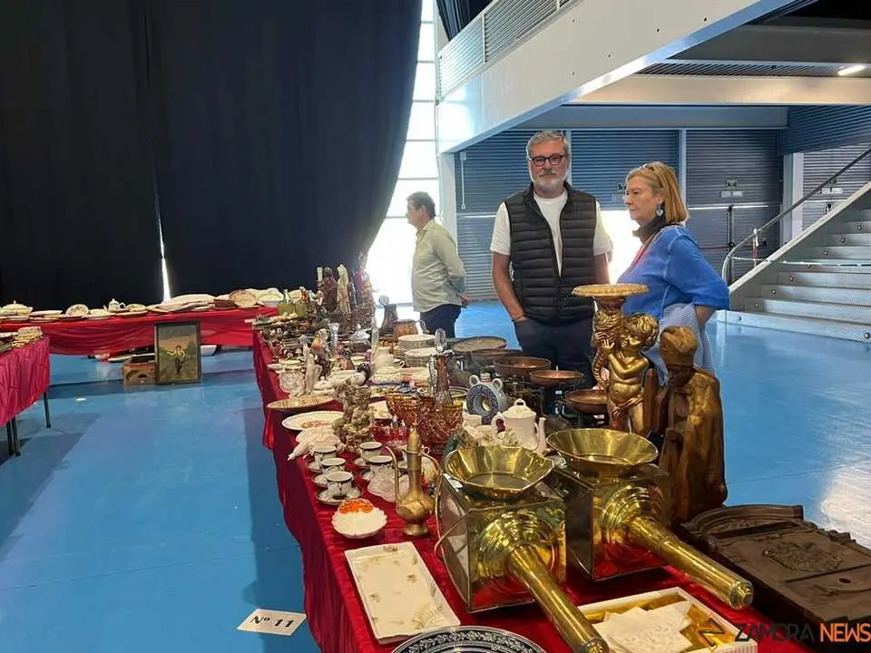 Feria de Antig&uuml;edades y Vintage Zamora _13