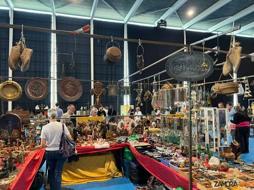 Feria de Antig&uuml;edades y Vintage Zamora _16