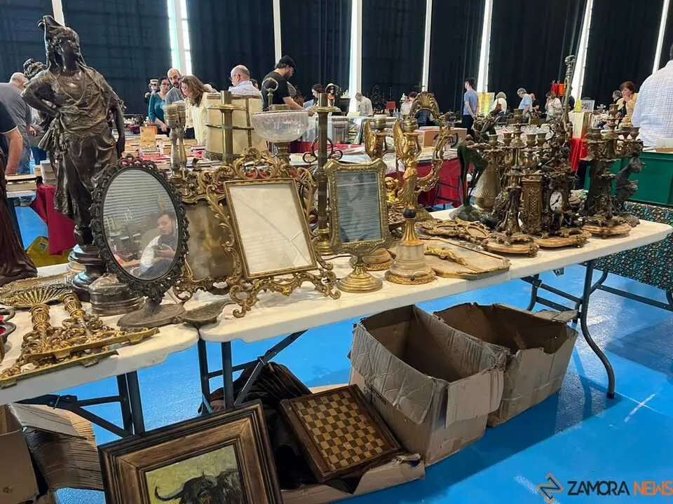 Feria de Antig&uuml;edades y Vintage Zamora _18