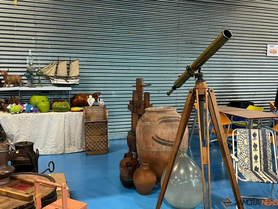 Feria de Antig&uuml;edades y Vintage Zamora _19