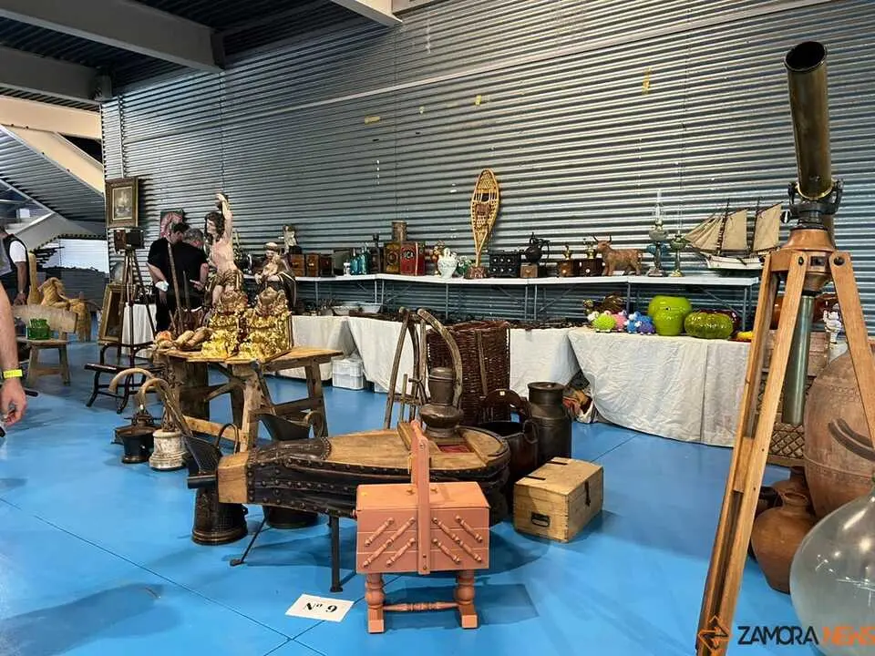 Feria de Antig&uuml;edades y Vintage Zamora _20