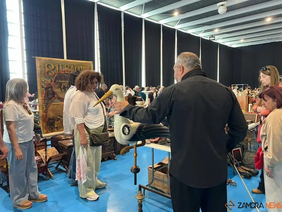 Feria de Antig&uuml;edades y Vintage Zamora _22