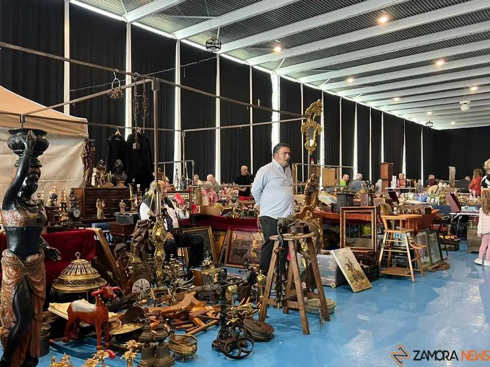 Feria de Antig&uuml;edades y Vintage Zamora _25