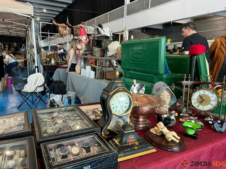 Feria de Antig&uuml;edades y Vintage Zamora _29