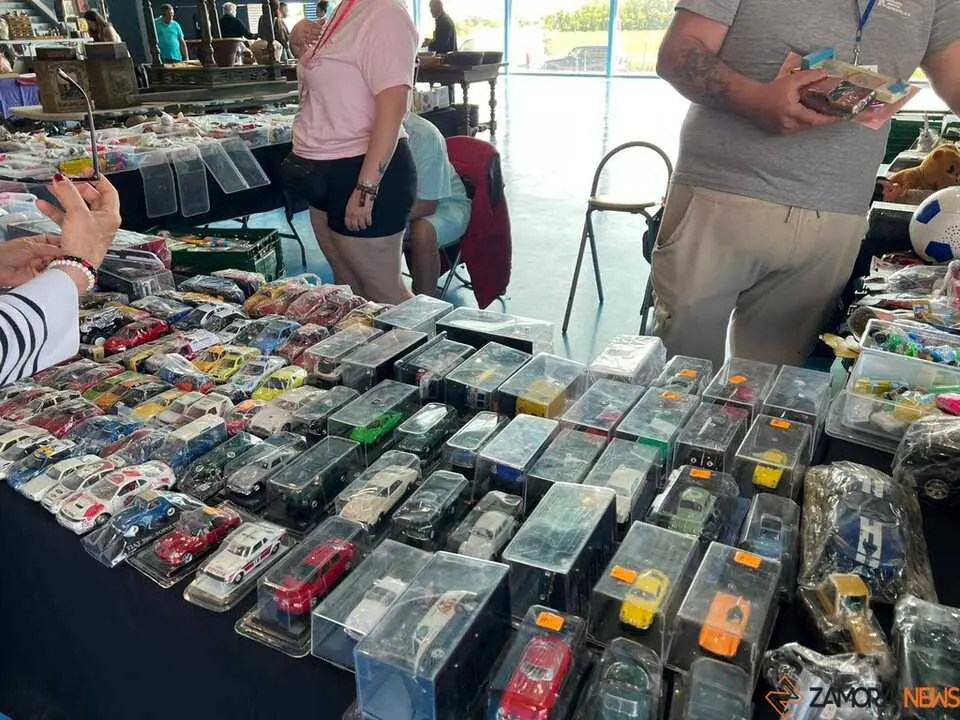 Feria de Antig&uuml;edades y Vintage Zamora _31