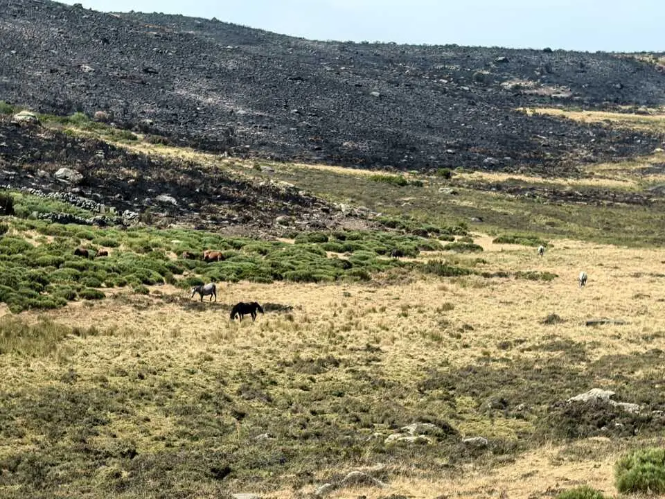 incendios sierrade la culebra